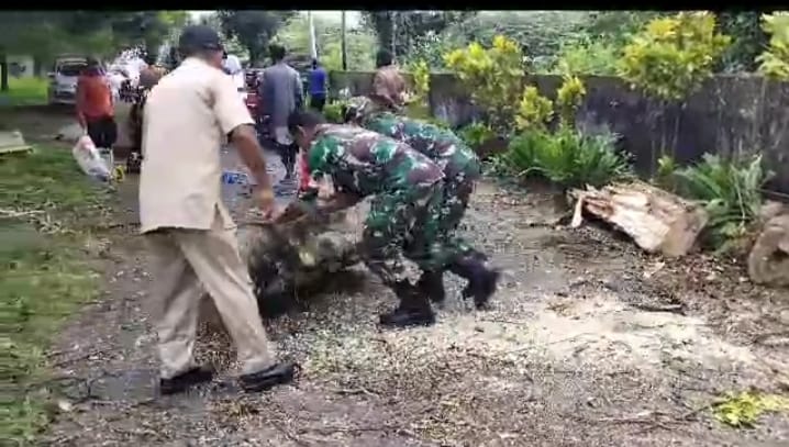 Babinsa 1416-01/Katobu Kodim 1416/Muna Bersama Dinas Kebersihan Bersihkan Pohon Tumbang