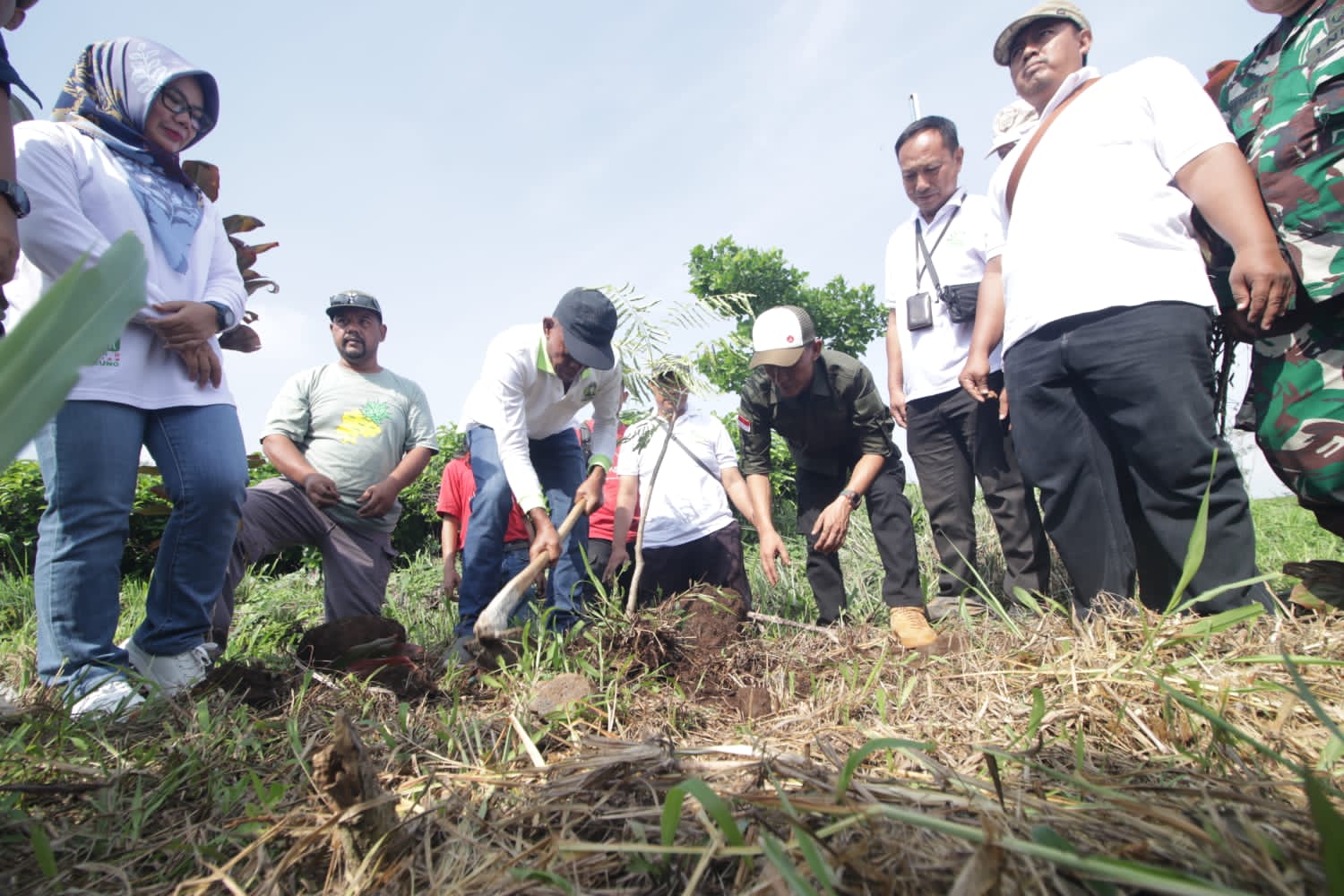 Bupati Subang Kang Jimat Tanam Pohon di Sepanjang Jalan Lingkar Jalancagak