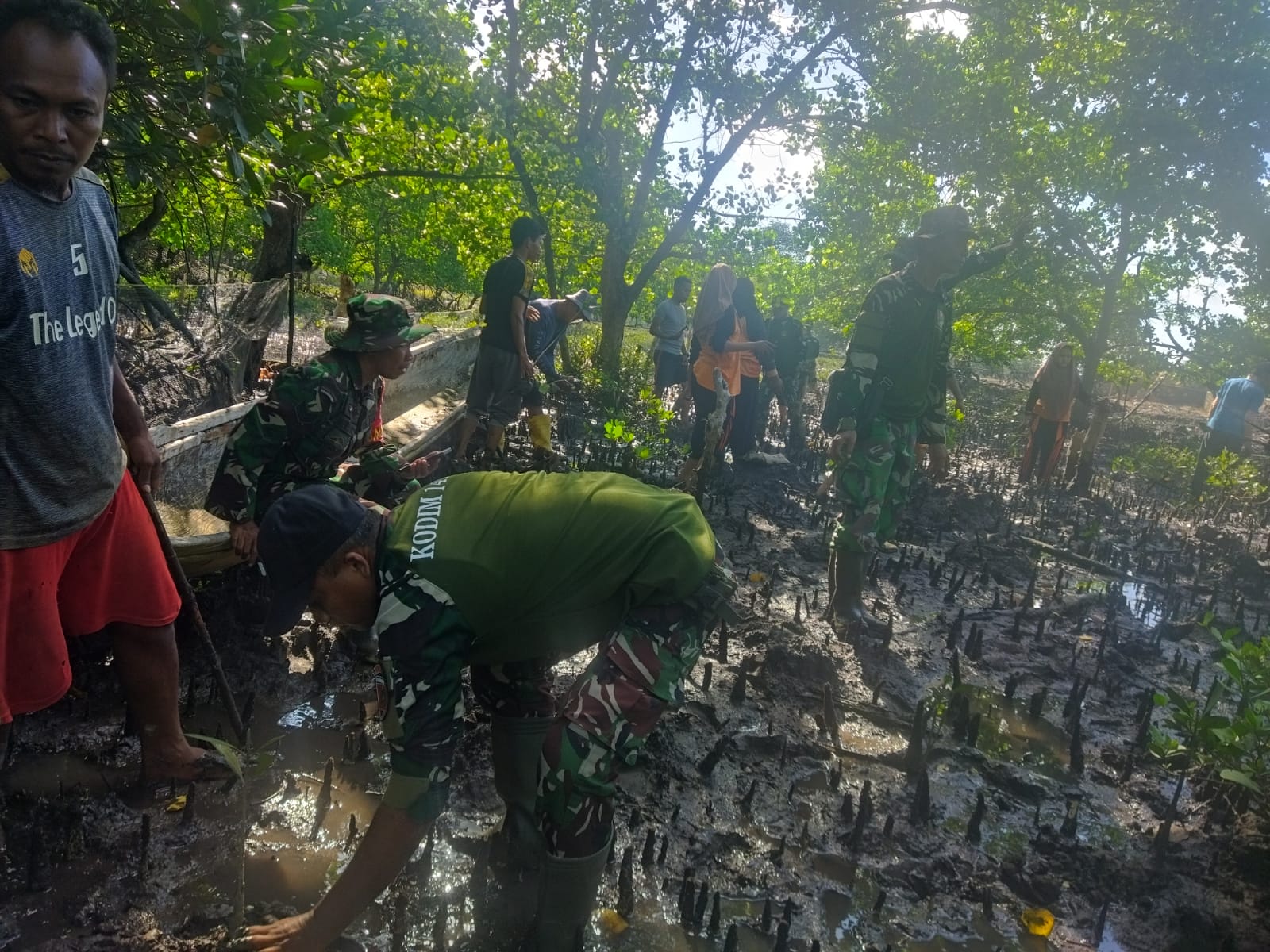 Cegah Abrasi Pantai, Kodim 1416/Muna Tanam Pohon Mangrove