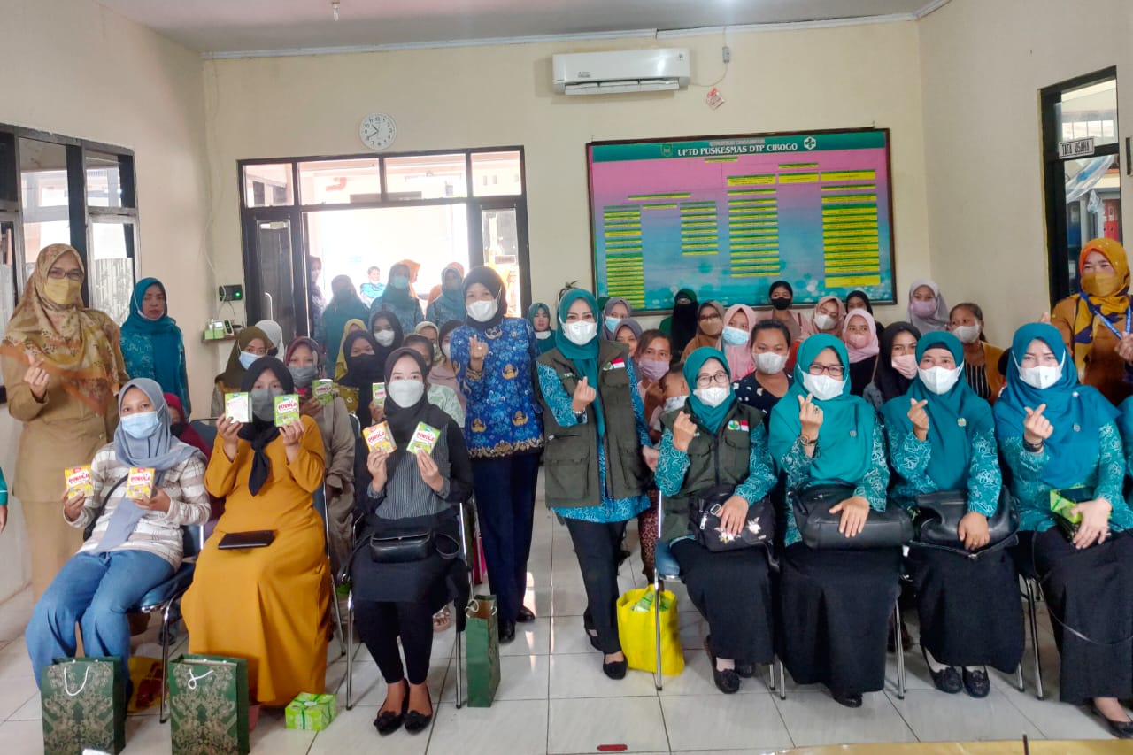 CEGAH STUNTING, MIMIH SERAHKAN PURULA MAKANAN BERGIZI UNTUK IBU HAMIL
