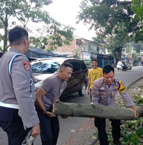 Curah Hujan Ekstrem Dan Angin Kencang Sebabkan Pohon Tumbang, Polisi Bantu Evakuasi