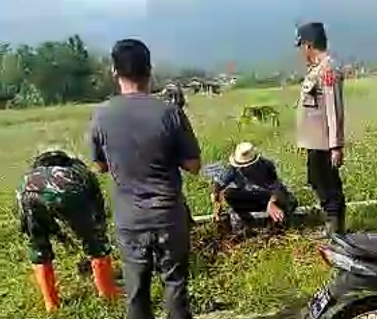 CYBERNASA TV : Di Inisiasi Danramil Tanjungsiang,Camat Dan POLRI dari Polsek Tanjungsiang Menanam Pohon Bermanfaat Di Sekitar Jalan Reang