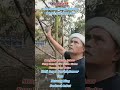 CYBERNASA TV - Mengintip Rahasia Sukses Kang Maman CDI Balon Kades Kasomalang Kulon,Apa Pupuk Rahasia Pacu Durian Bawor dan Musang King Berbuah Lebat di Usia Muda?