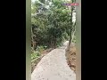 Cybernasa TV - Pengecoran Jalan Usaha Tani ( JUT ) Di Dusun 3  Kampung Margaluyu  Desa Dayeuhkolot Selesai Dikerjakan