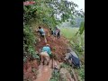 Cybernasa TV - Saluran air primer Cimedang Desa Sukamelang  kini memprihatinkan, para petani  padi sawah menjerit", tidak  ada perhatian serius dari Pemkab.Subang