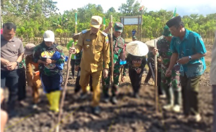 Dandim 1430/Konut dan Wakil Bupati Konut  Perdana Tanam Jagung Di Matandahi
