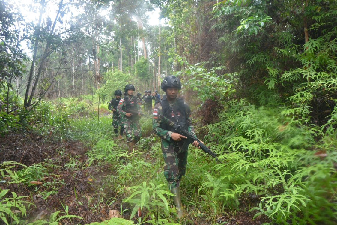 Gagalkan Indikasi Pelanggaran di Tapal Batas, Satgas Pamtas Yonif 725/Wrg Dan Bea Cukai Merauke Temukan Ladang Ganja