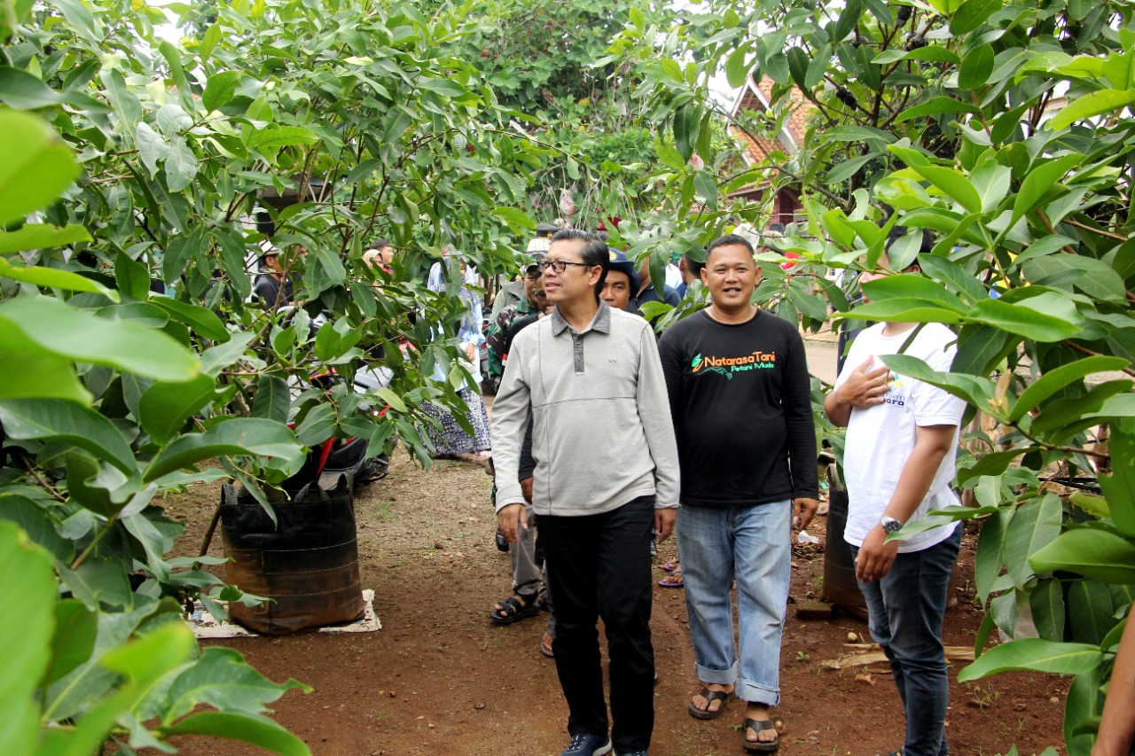 Kang Akur Siap Dukung Peningkatan Komoditas Jambu Air