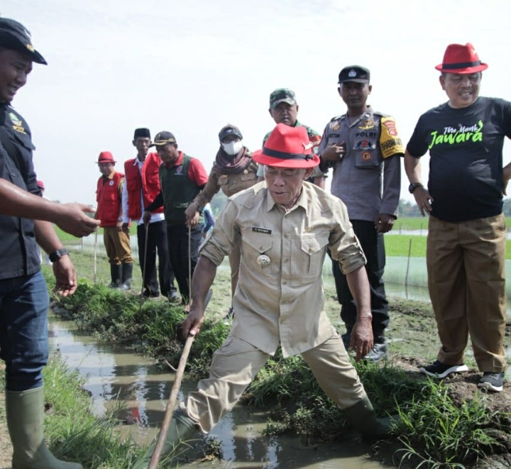 Kang Jimat Ikuti Gropyokan, Ikhtiar Petani Basmi Hama Tikus
