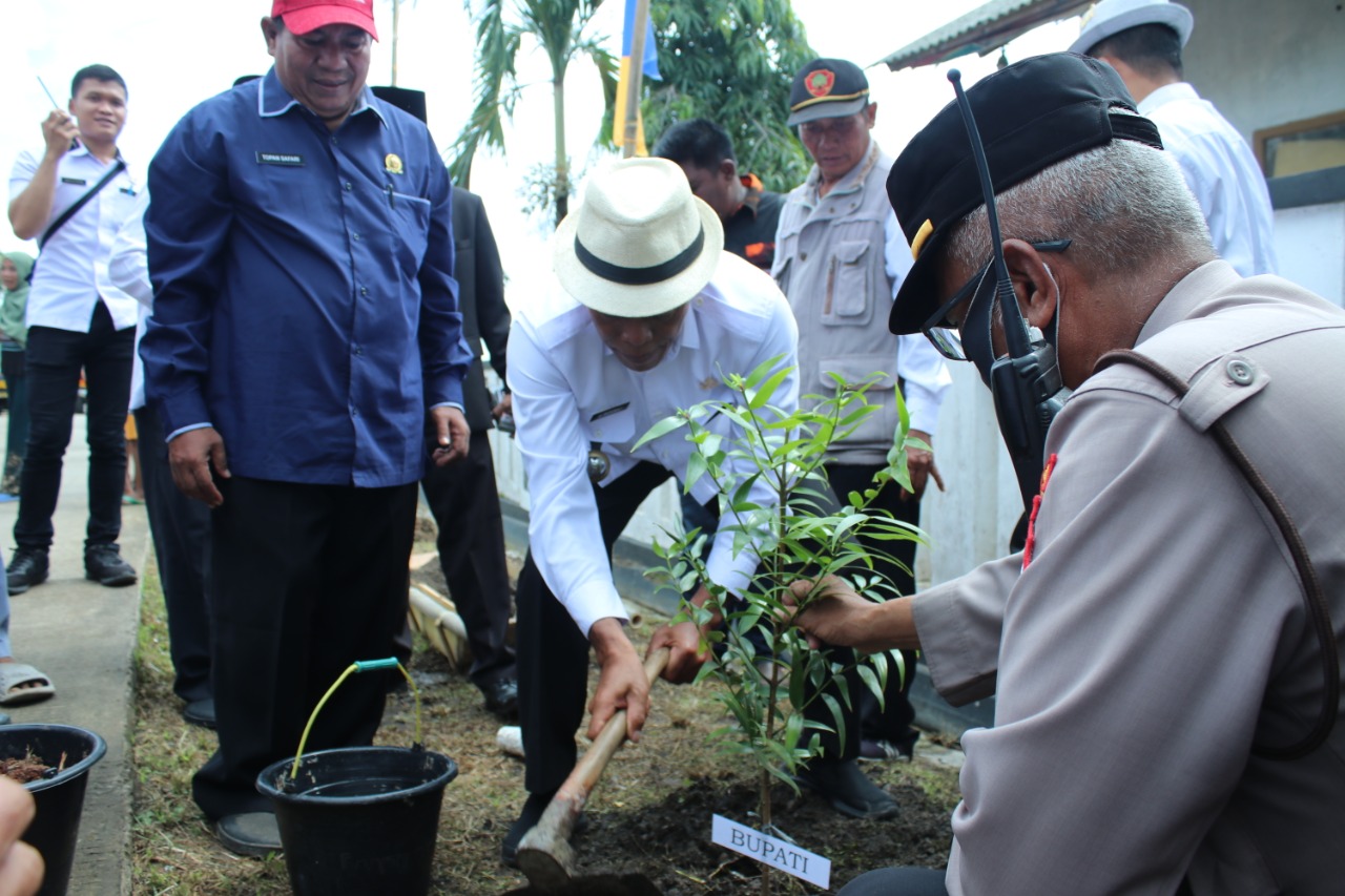 Kang Jimat  Mengikuti Penanaman 1000 Pohon Damar