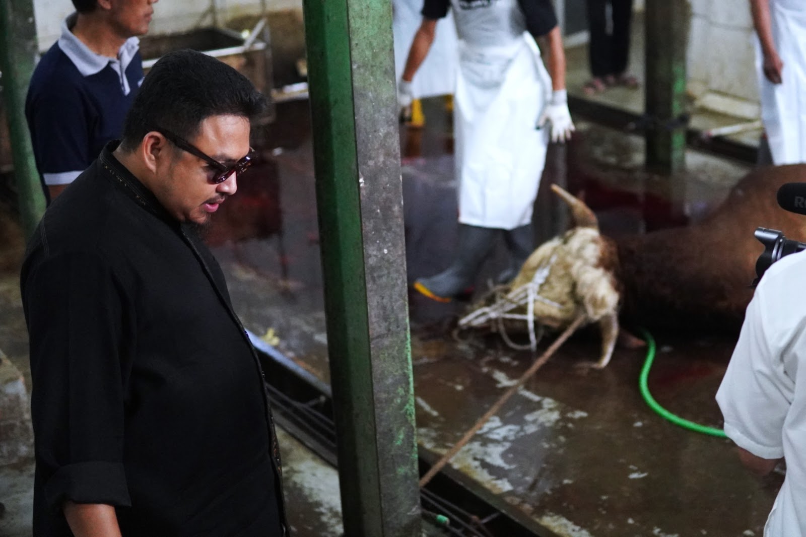 KANG REY DAN KANG AKUR SAKSIKAN PENYEMBELIHAN SAPI BANTUAN PRESIDEN