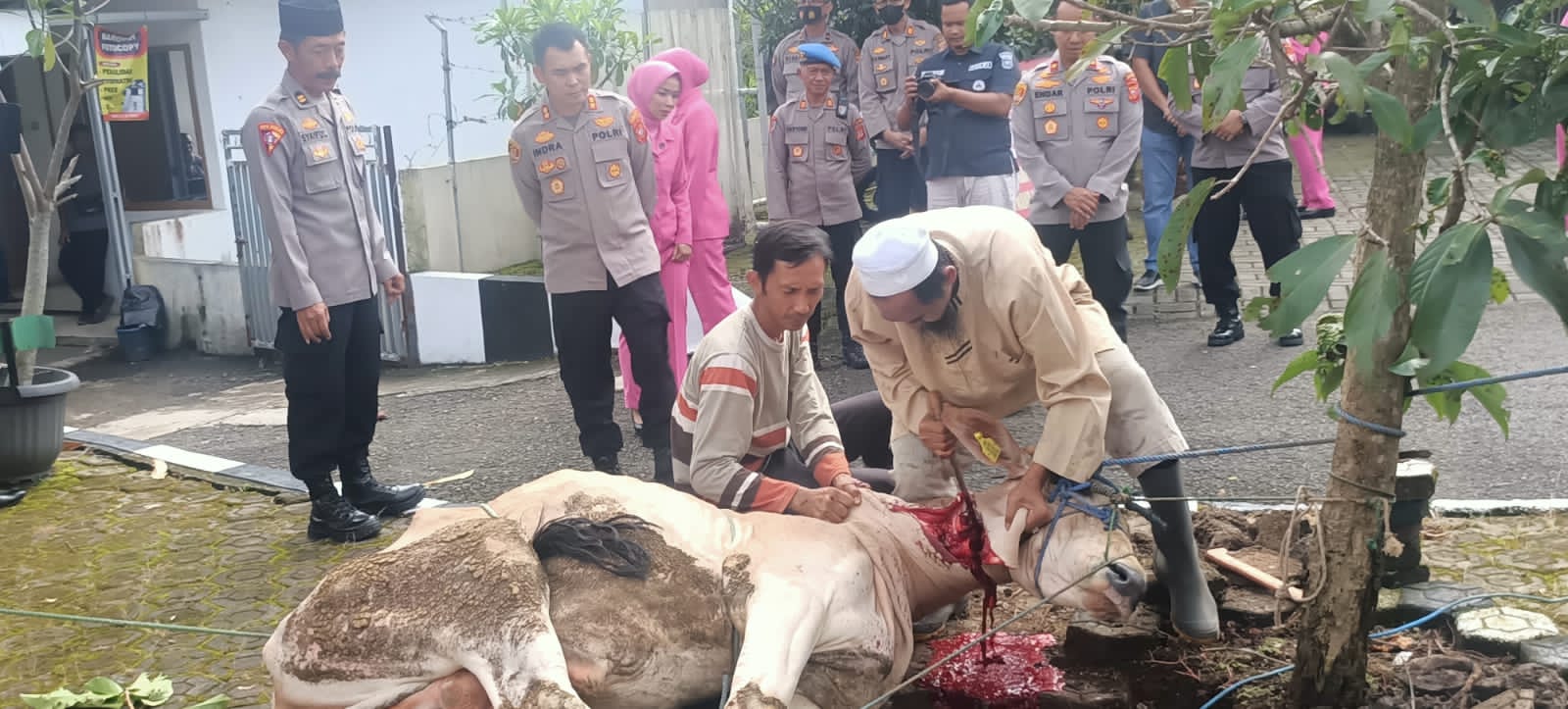 Kapolres Sumedang Laksanakan Kurban Bentuk Ikhtiar Tolak Bala Pengamanan Nataru