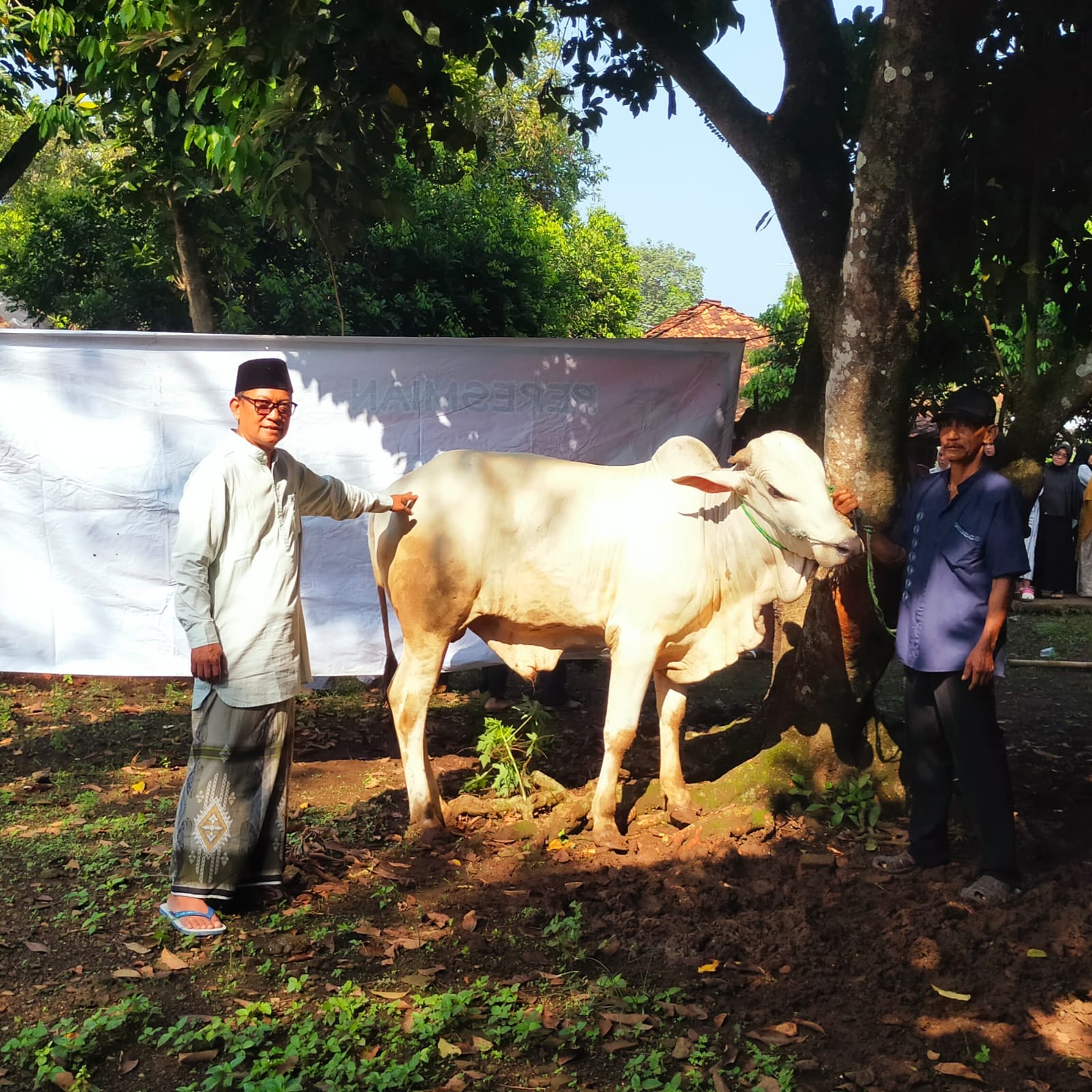 KELUARGA PEMILIK VILA TRITAI SUKAHURIP CIATER SUBANG SALURKAN HEWAN QURBAN SAPI & DOMBA