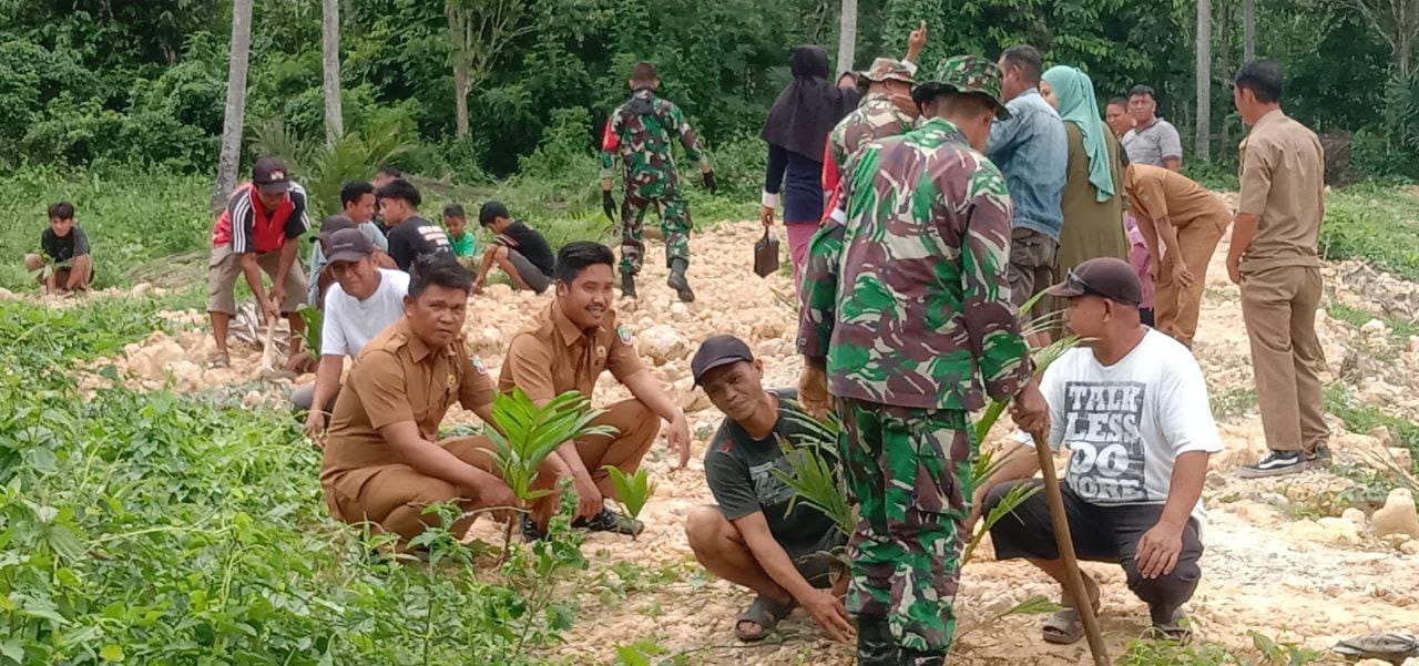 Kodim 1430/Konut Lakukan Penanaman Pohon Untuk Mereboisasi Lahan-Lahan Tandus Demi Mencegah Terjadinya Banjir
