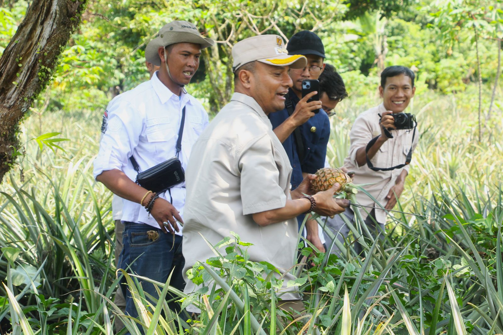Langkah Strategis Pj. Bupati Subang: Kunjungi Kebun Nanas, Pastikan Peningkatan Kualitas Bibit dan Pemeliharaannya