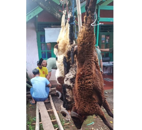 Momen Hari Raya idul Adha 1446 H.RW 02  Kurbankan 1 Ekor Sapi 9 Ekor Kambing