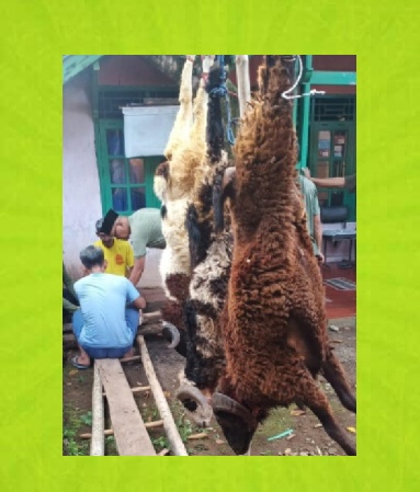 Momen Hari Raya Idul Adha 1446 H.RW 02  Kurbankan 1 Ekor Sapi 9 Ekor Kambing