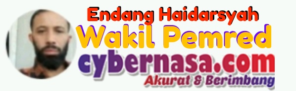 Oknum Kades Jangan Alergi Di Kritik Oleh Wartawan,LSM dan Ormas