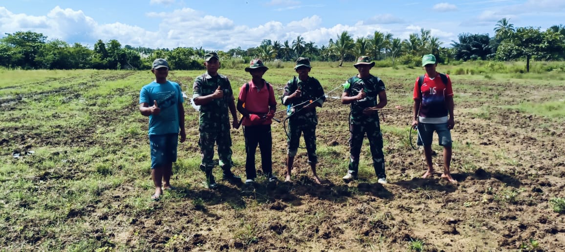Peduli Program Pemerintah Ketahanan Pangan, Satgas TMMD 123 Kodim 1416/Muna Siapkan Lahan Siap Tanam