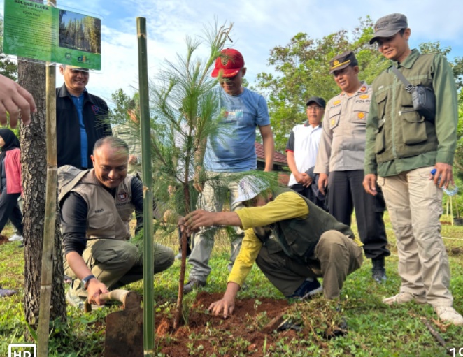 Pj. Bupati Subang Tanam Pohon Pinus dan Pohon Damar Demi Ciptakan Areal Paru-Paru Subang Di Bukit Pamoyanan