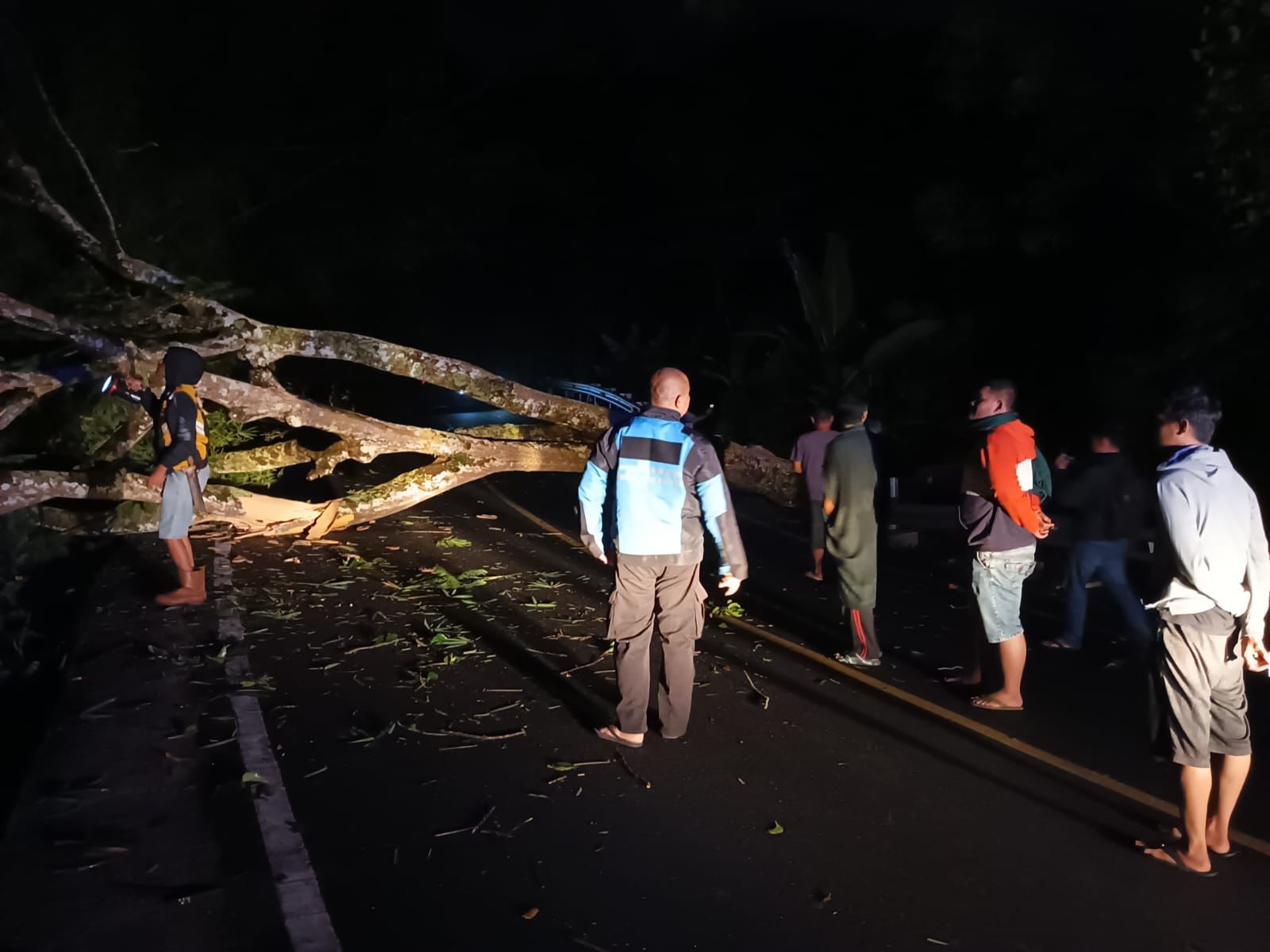 Pohon Tumbang Tutup Akses Jalan Raya,  Polisi Respon Cepat Evakuasi