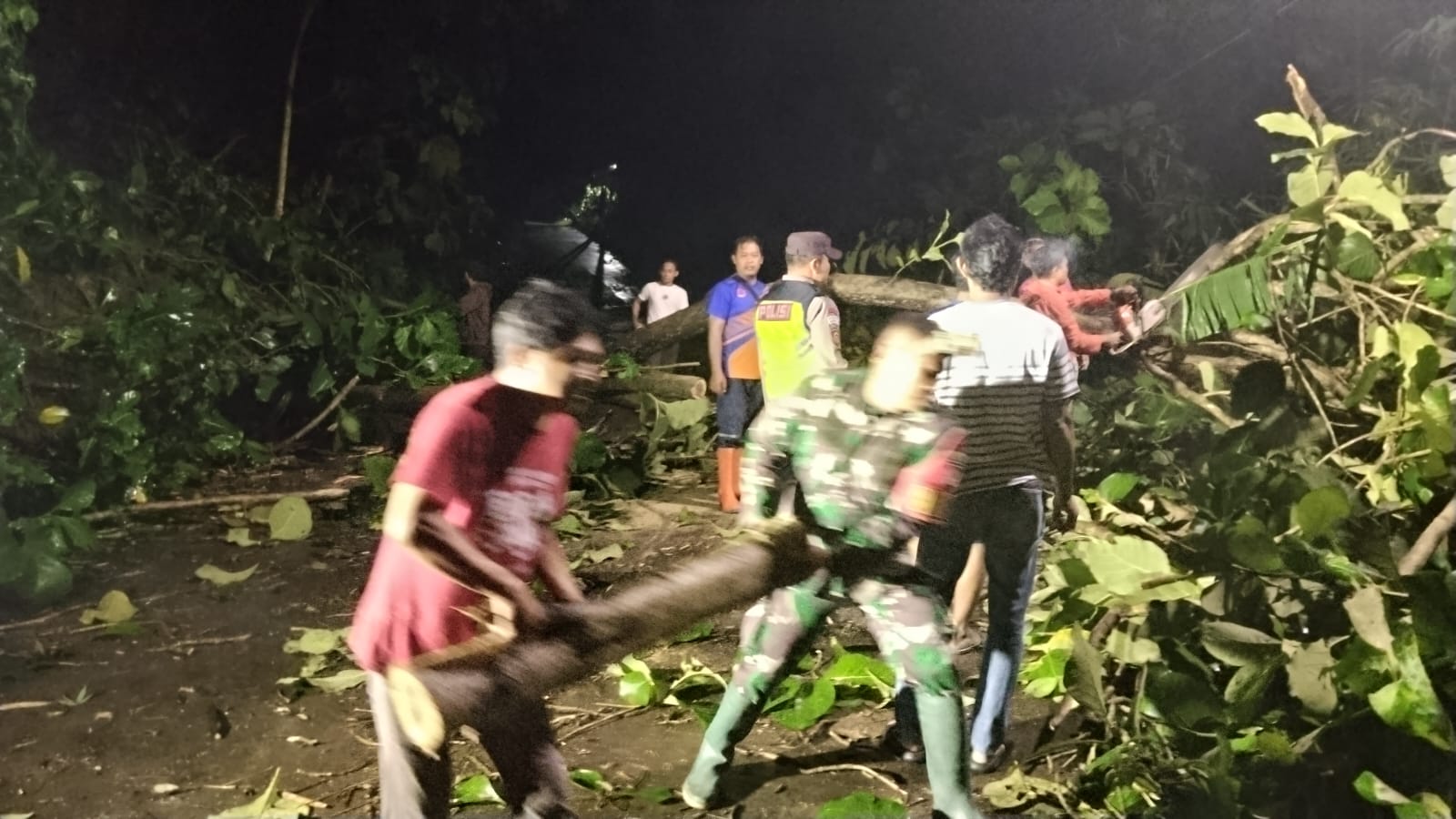 Pohon Tumbang Tutup Jalan Simo–Klego,Babinsa dan Warga Bergerak Cepat Selamatkan Akses