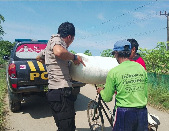 Polisi Bantu Kakek Tua Angkut Padi Ke Tempat Penggilingan  Pakai Mobil Patroli