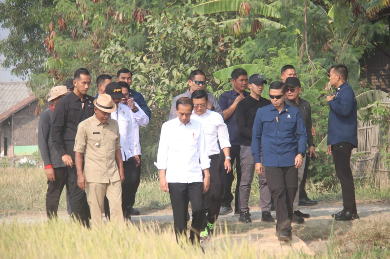 Presiden RI didampingi Bupati Subang Laksanakan Panen Raya Padi di Kecamatan Ciasem
