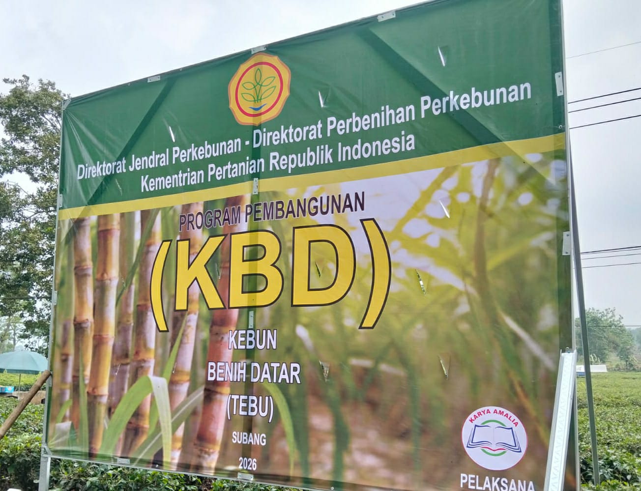 Program Kebun Benih Datar Tebu Upaya Pemerintah Dalam Mempercepat Swasembada Gula Nasional