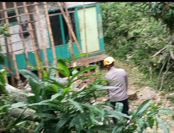 Respon Cepat Polisi Di Purwakarta Saat Evakuasi Pohon Tumbang di Kecamatan Wanayasa
