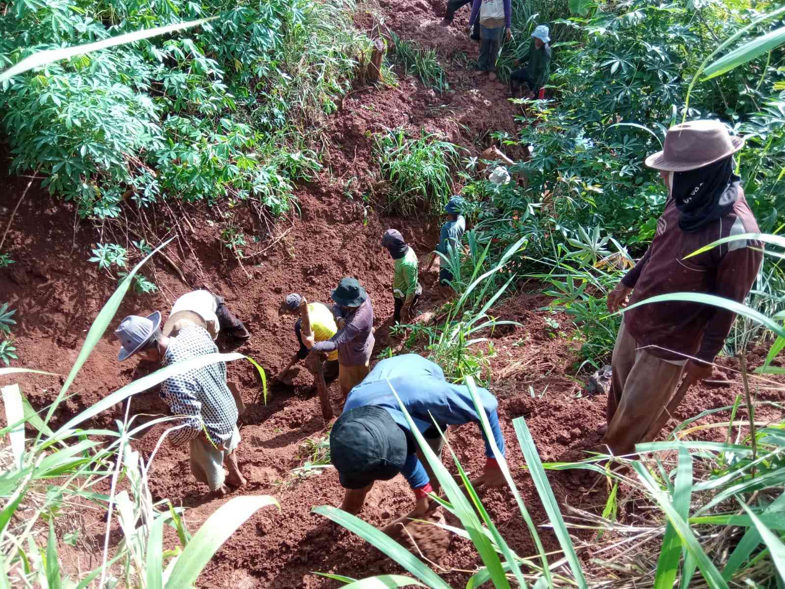 Saluran Air Kali Cipicung Terimbun Tanah,Petani Wanasari Butuh Normalisasi