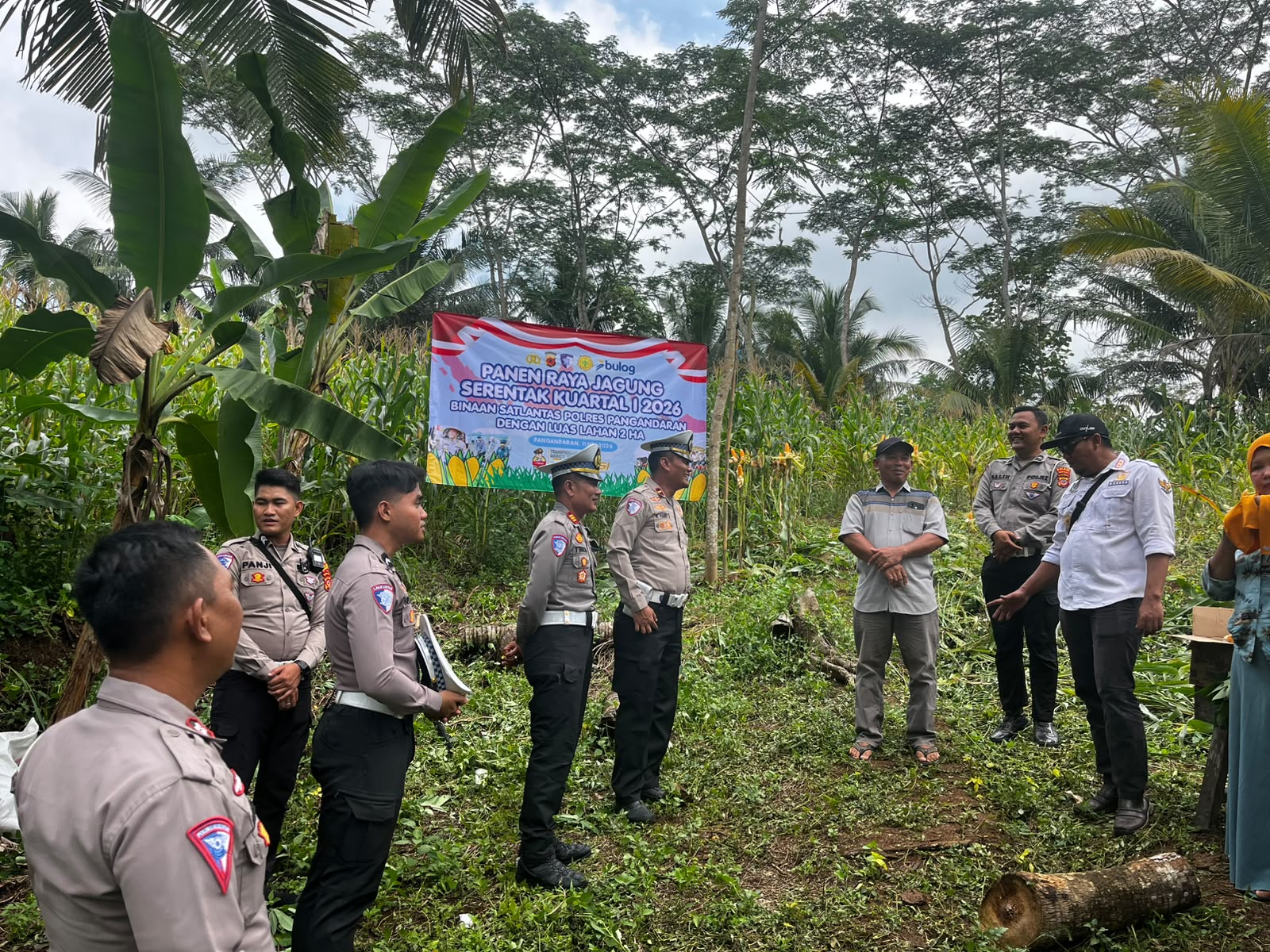 Satlantas Polres Pangandaran  Panen Raya Jagung Serantak Kaurtal 1 Tahun 2026 Dukung Swasembada Pangan Daerah