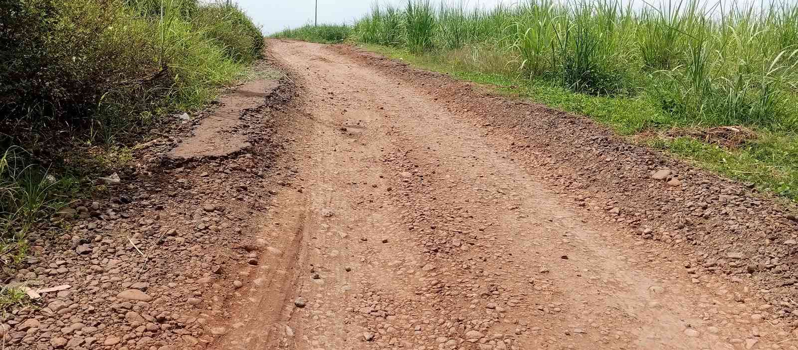 Sudah Lama belum ada Perbaikan, Ruas Jalan Desa Wanasari di Keluhkan Warga