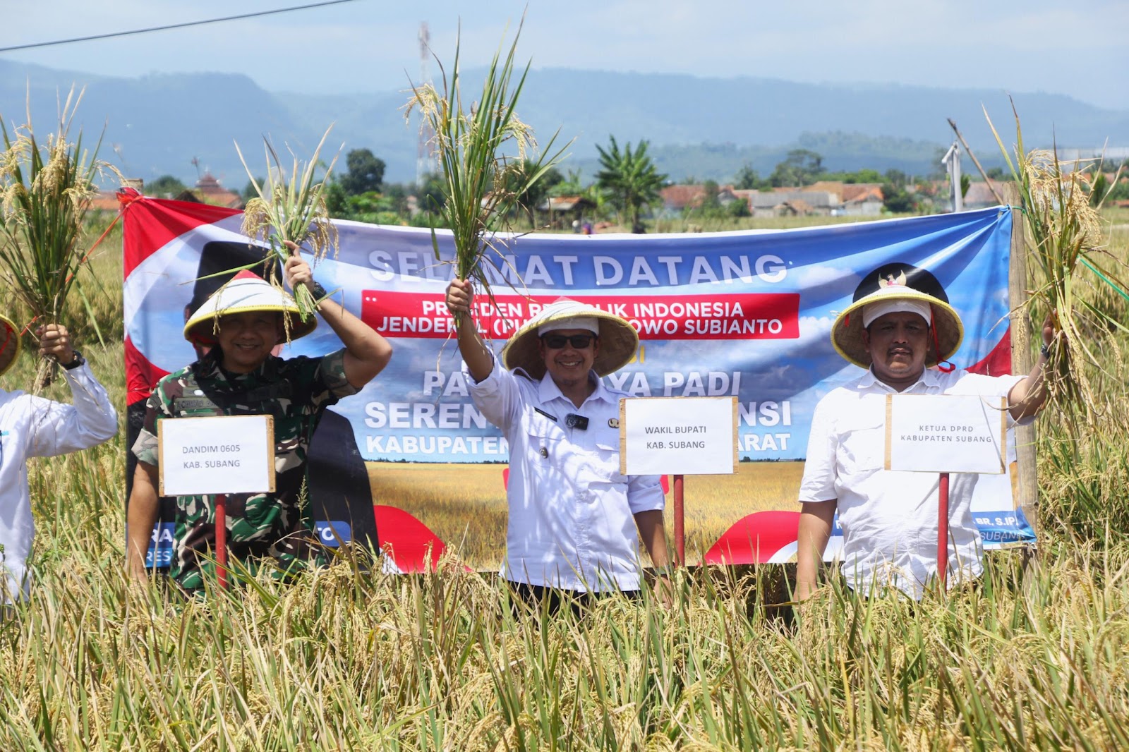 Turut Laksanakan Panen Raya Serentak, Kang Akur Optimis Subang Dorong Wujudkan Kedaulatan Pangan Indonesia