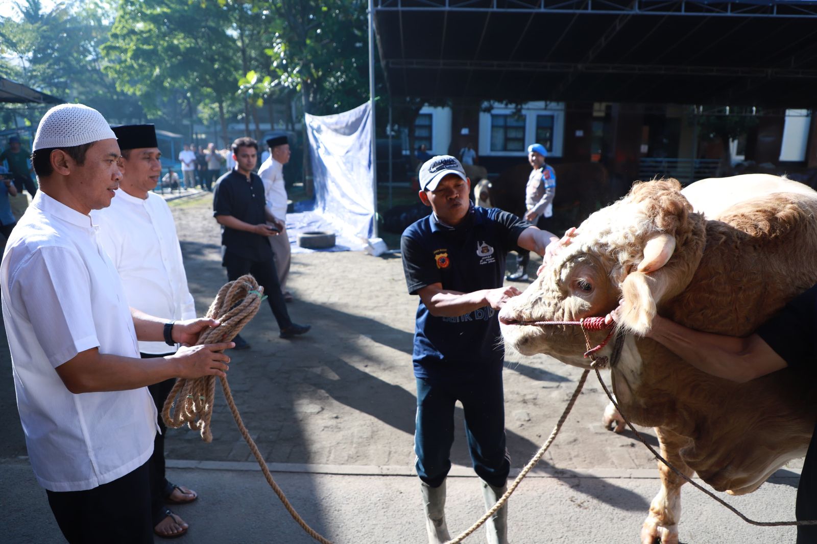 Usai Sholat Idul Adha 1445 H, Kapolda Jabar Sembelih 14 Ekor Sapi Dan 4 Ekor Kambing Hewan Kurban