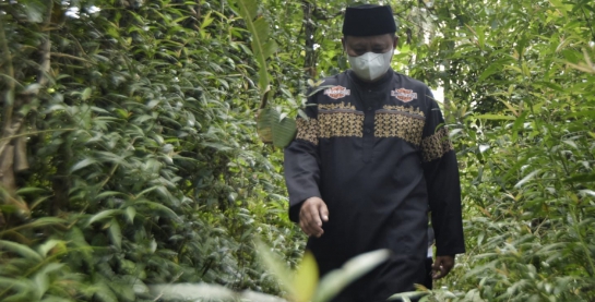 Wagub Jabar Tinjau Pembangunan Jembatan Betman