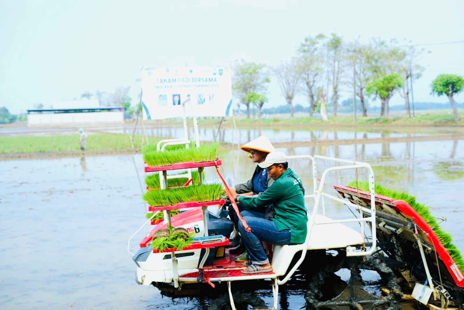 WAKIL BUPATI SUBANG TANAM PADI BERSAMA DALAM PROGRAM CONTRACT FARMING 2025 DI KAMPUNG INOVASI IPB