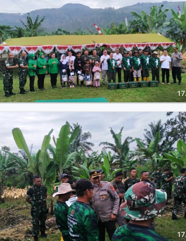 Wujudkan Program Ketahanan Pangan, Polres Sumedang Bersama Kodim 0610 Dan Yonif 301 Sumedang Laksanakan Panen Jagung Hybrida